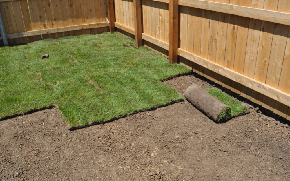 sod-installation.01-1080x675[1].png