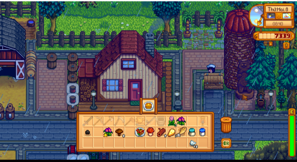 Stardew 3.png