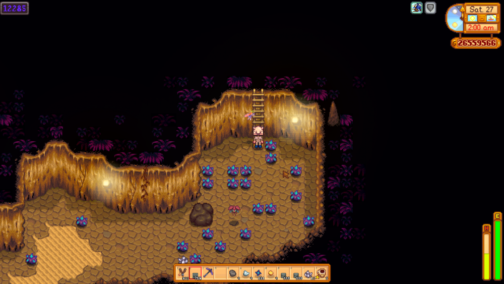 Stardew Valley 9_17_2025 1_02_52 AM.png
