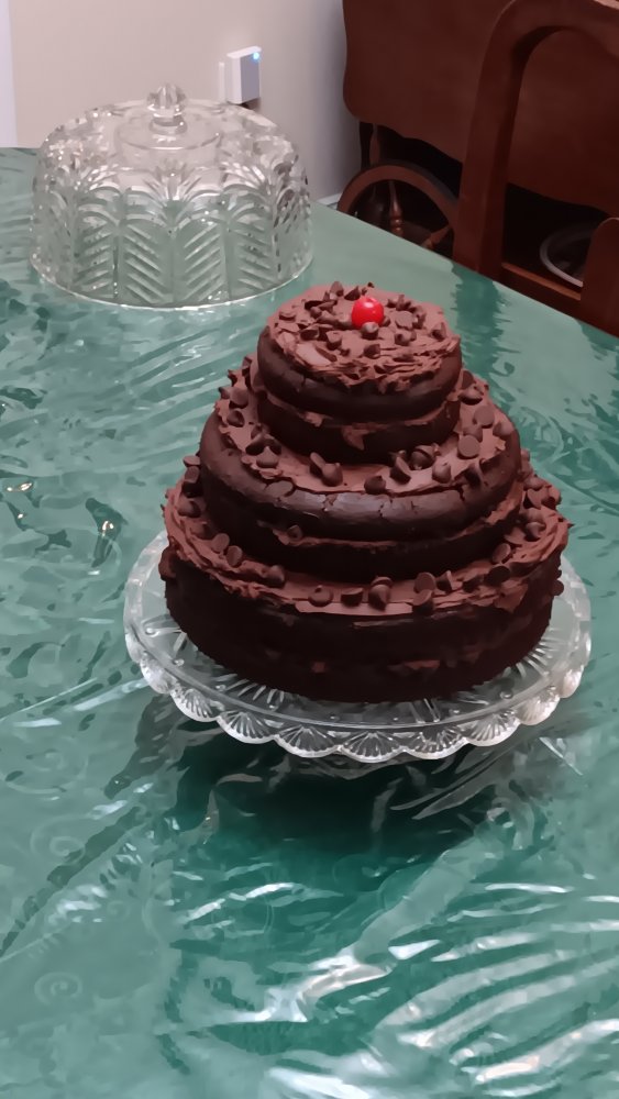 stem-free with dome.jpg