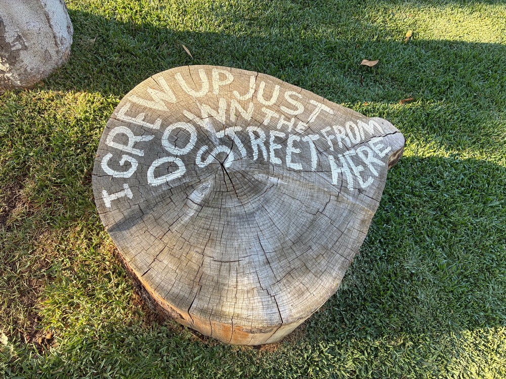 stump1.jpg