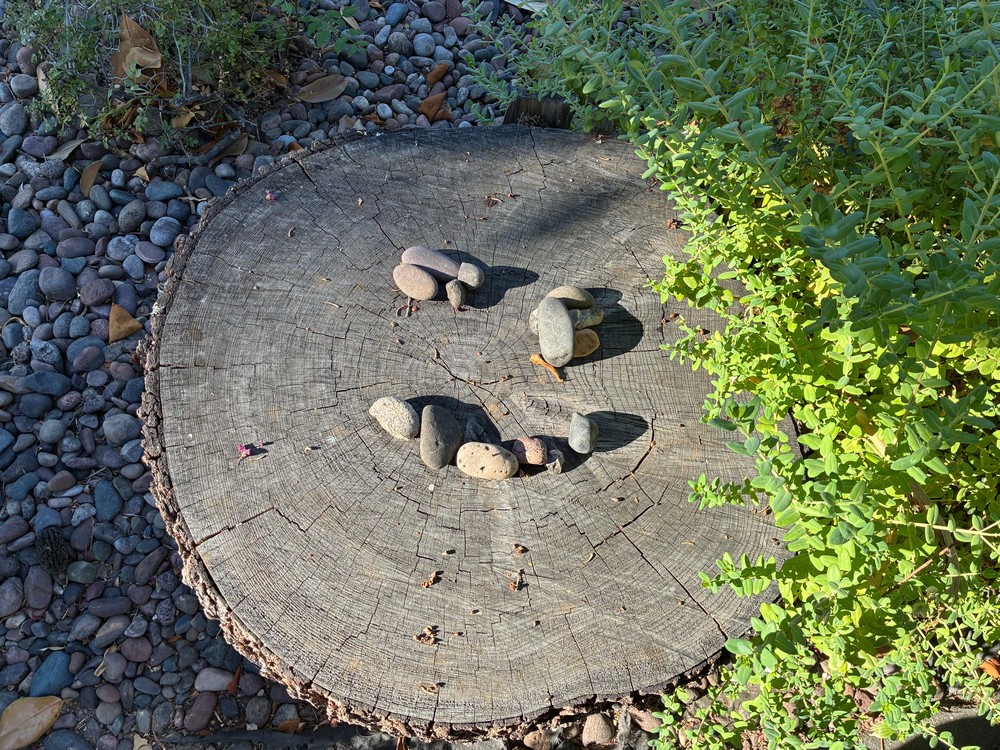 stump2.jpg