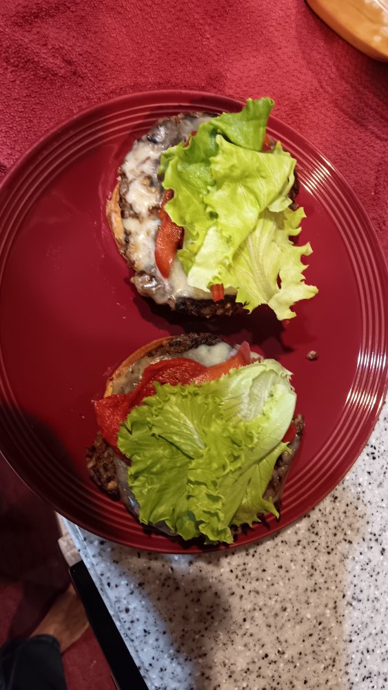 Survival Burger 10-16-2025 Assembly Part 2.jpg