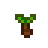 Taro_Tuber.png