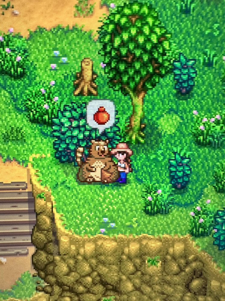 trash bear request.jpg