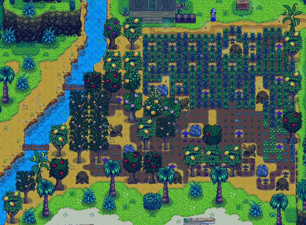 Y6Sp11planted.jpg