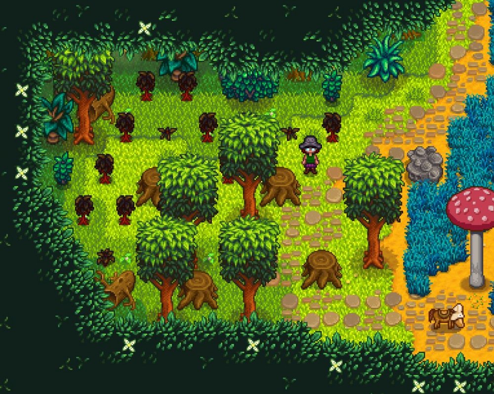 Y6Su08 Managed Forest.JPG