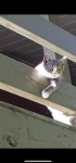07AD686D-F57B-4FF8-833E-1D5FCC546CF9.png