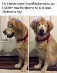 download (2).jpg
