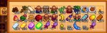 Chest4.jpg