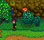 Screenshot_2023-01-07-16-19-01-160_com.chucklefish.stardewvalley.png