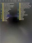 IMG_4028.jpeg