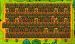 Hops on beach farm.jpg