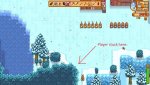 cap_Stardew Valley 2021-01-04 14-41-55_00_02_23_01.jpg