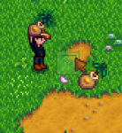 meadowlands dirt patch.png