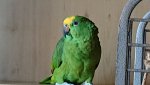 DSC_0085.JPG