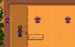 ss.png