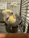 IMG_1584.jpeg