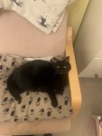 IMG_1487.JPEG