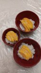 Mango Sticky Rice 2 7-27-2025.jpg