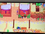 IMG_2243.jpeg