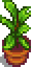 House_Plant.png