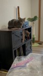 IMG_8882.jpeg