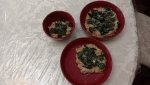 Fiddlehead Risotto.jpg