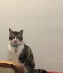 IMG_4668.jpeg