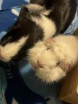 IMG_5249.jpeg
