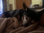 IMG_4921.jpeg