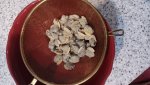 36 dollars of clam meat.jpg