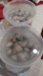 after flour soaking 1.jpg