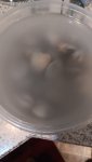 ready for flour soaking 2.jpg