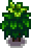 Tea_Stage_4.png