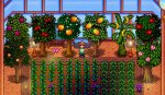 stardew greenhouse inside.JPG