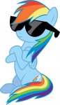 rainbow dash.jpg