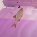 1789399273189.png