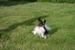 IMG_1298.JPG