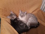 20191121_190727.jpg