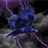 Storm Eagle