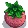 Melon farmer