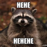 TheRaccoon