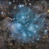 ajrjaneway4712