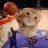 Mycatisfastidkwhat2do