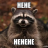 TheRaccoon