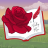 thevalleyrose